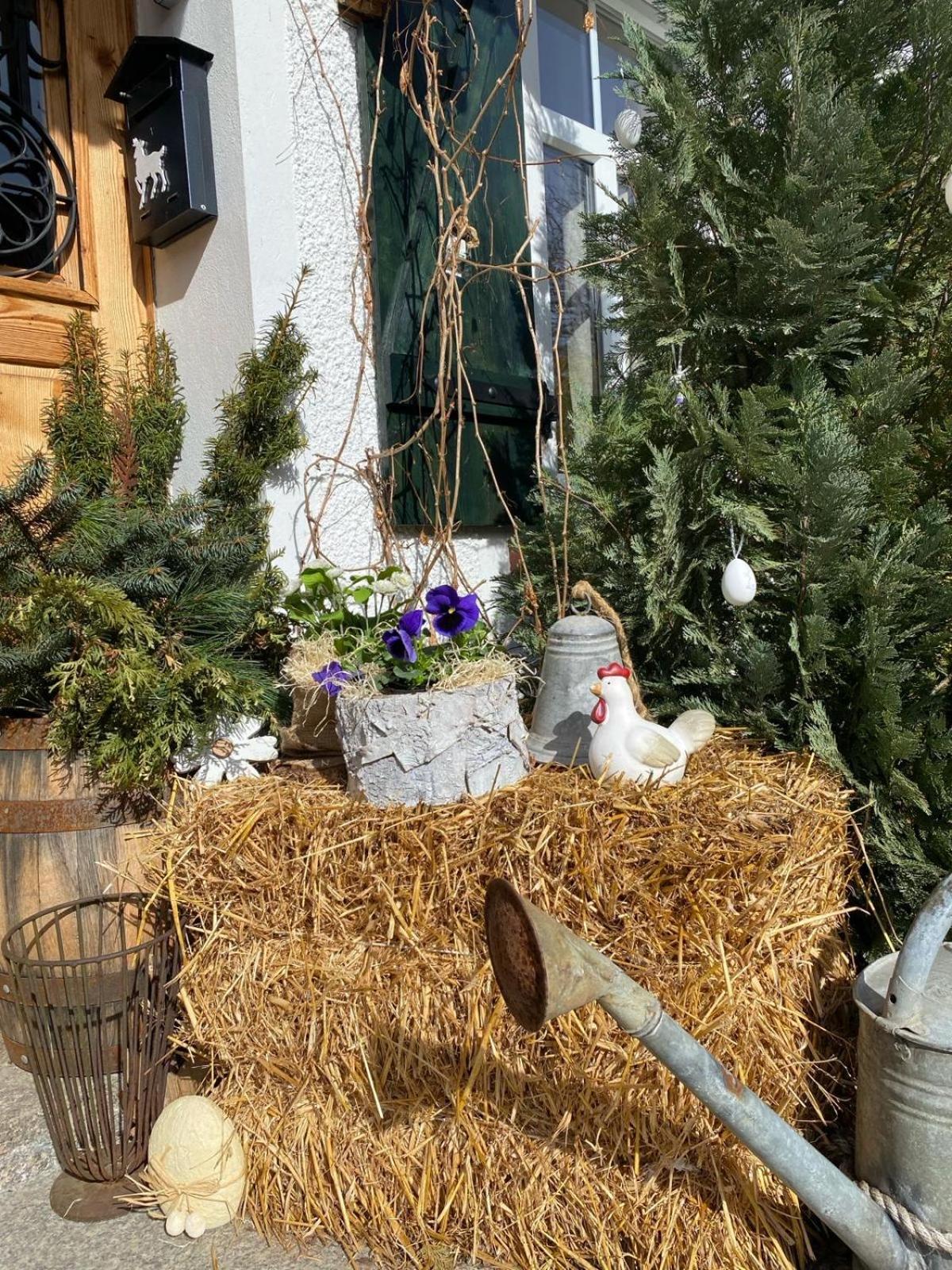 Apartamenty Sudeckie Nad Zalewem IV Sosnówka Dış mekan fotoğraf